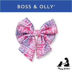 Boss & Olly - Fruity Sorbet รัดอก สายจูง สำหรับสุนัขและแมว Leash and Harness for Dog and Cat