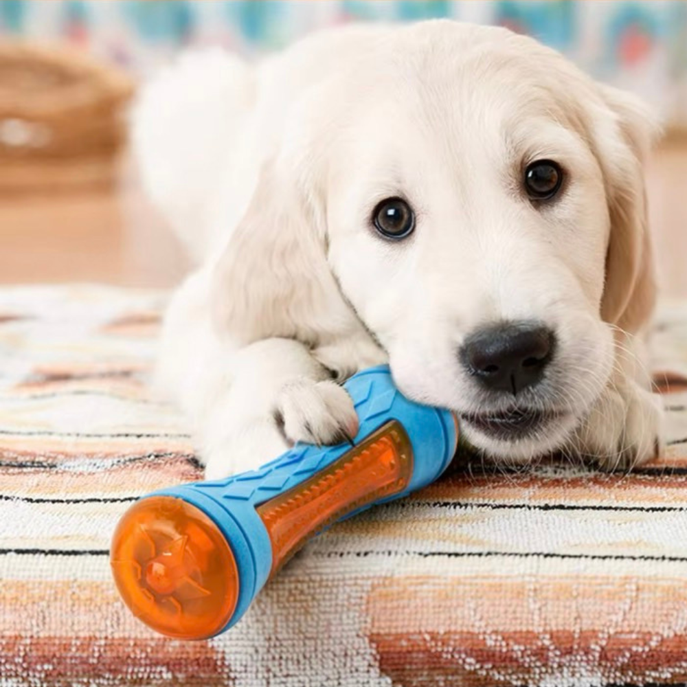 Puppy N Paw Hammer / Ball Dog Toy ของเล่นหมา  ของเล่นขัดฟัน ลูกบอลสำหรับฝึกสุนัข