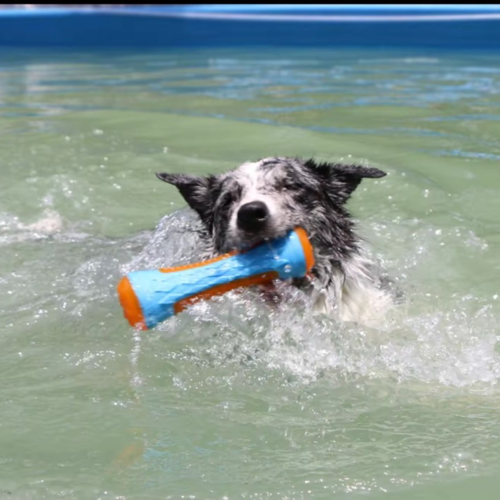 Puppy N Paw Hammer / Ball Dog Toy ของเล่นหมา  ของเล่นขัดฟัน ลูกบอลสำหรับฝึกสุนัข