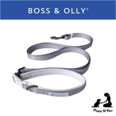 Boss & Olly - HoloGlam Active Harness