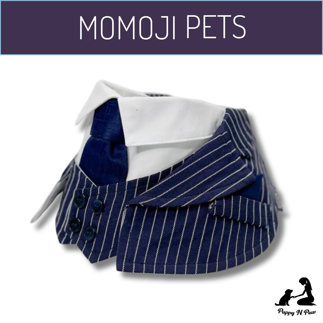 Momoji Queensway Bib ผ้าพันคอสุนัข ผ้าพันคอสัตว์เลี้ยง ชุดสูททางการ