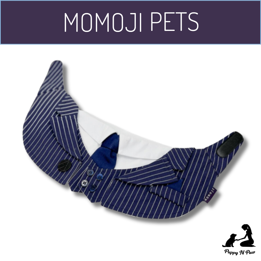Momoji Queensway Bib ชุดสุนัข ชุดแมว ชุดสัตว์เลี้ยง ผ้าพันคอสุนัข ชุดสูททางการ