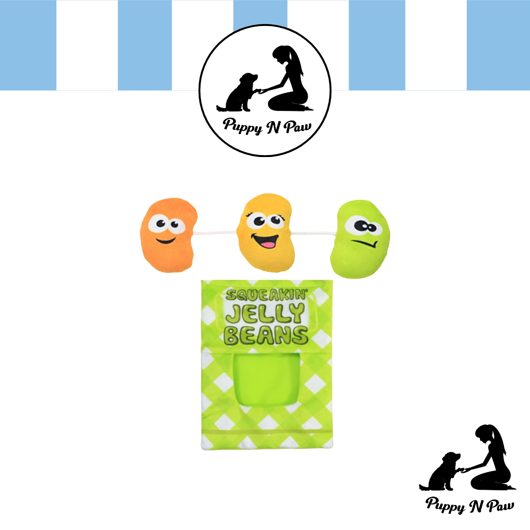 Puppy N Paw Squeaky Snack