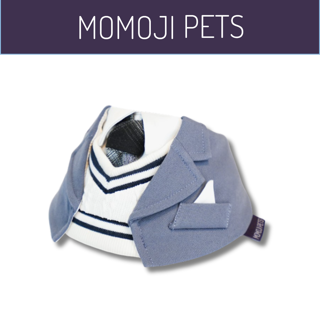 Momoji Joseph Bib - ชุดสุนัข ชุดแมว สูทสำหรับสัตว์เลี้ยง สีเทา สีกรม ชุดนักเรียนชาย