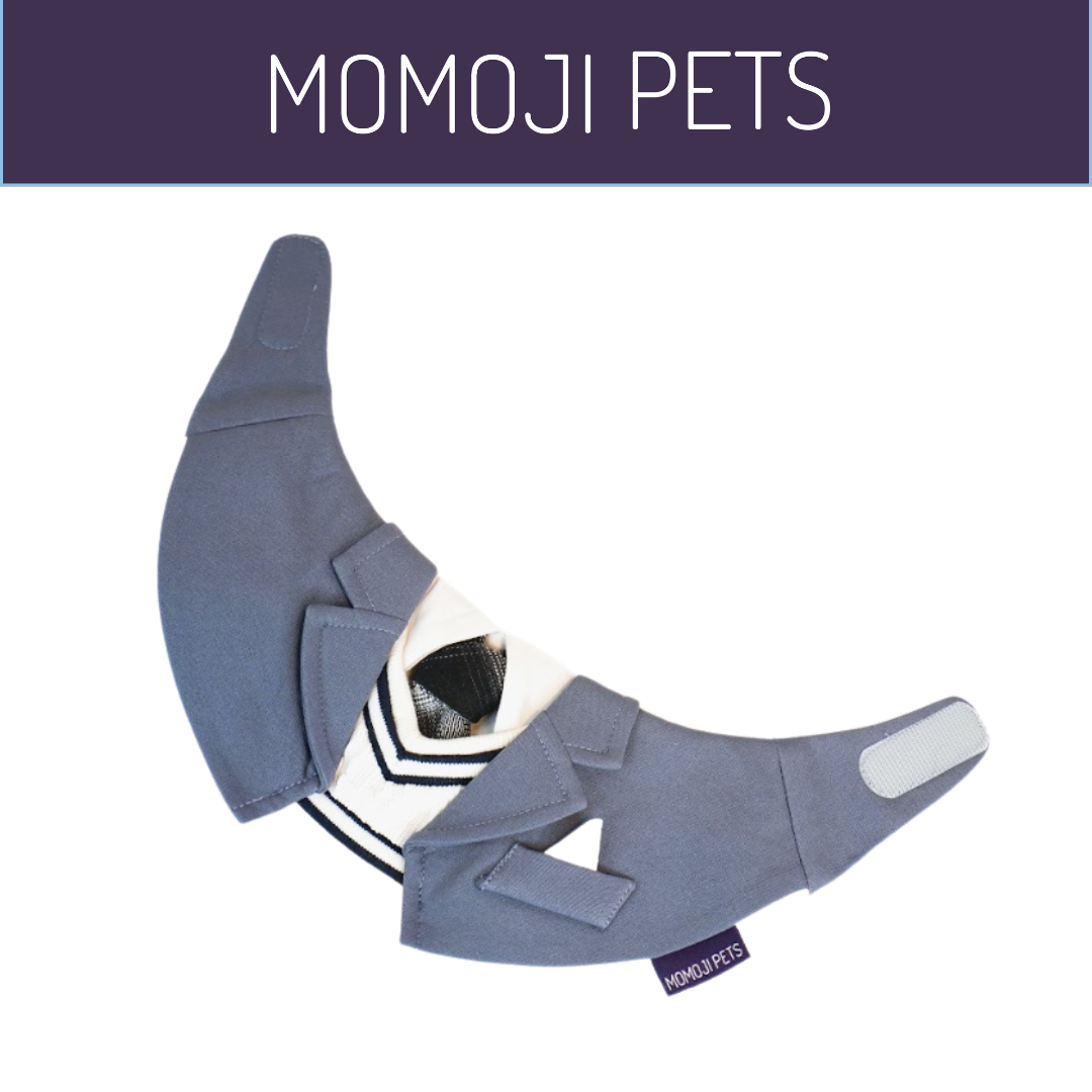 Momoji Joseph Bib - ชุดสุนัข ชุดแมว สูทสำหรับสัตว์เลี้ยง สีเทา สีกรม ชุดนักเรียนชาย