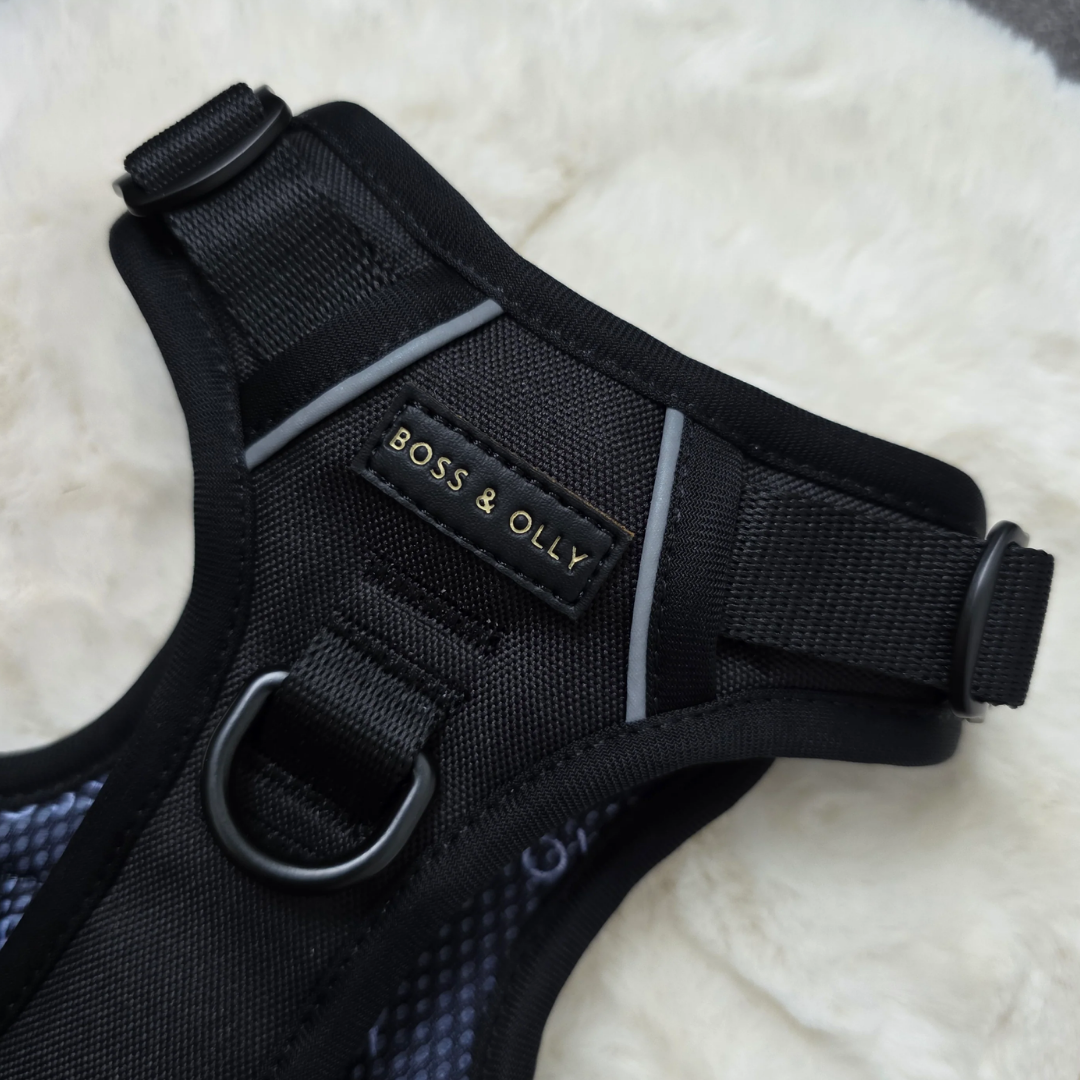Just Black Collection - Boss & Olly
