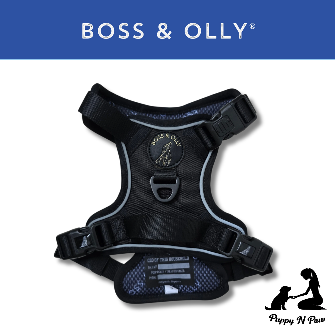 Just Black Collection - Boss & Olly