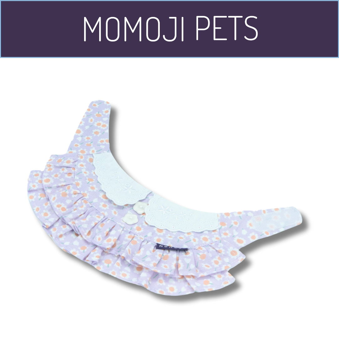 Momoji Kristen Bib - Pastel Purple
