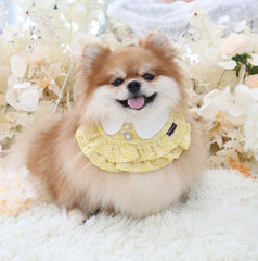Momoji Kristen Collection Bib - ชุดสุนัข ชุดแมว ชุดสัตว์เลี้ยง ผ้าพันคอสุนัขมีกระโปรง สีชมพู สีเหลือง
