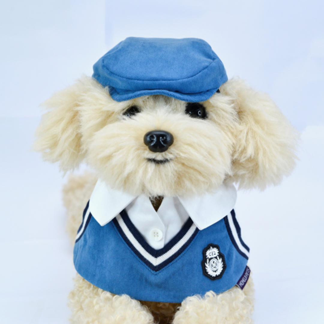 Momoji Leighton Hats - หมวกสุนัข แมว
