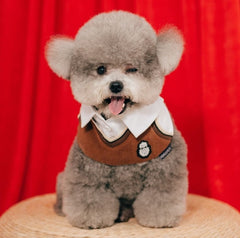 Momoji Leighton Boys Bib - ชุดน้องหมาน้องแมว ชุดผู้ชาสีฟ้า สีน้ำตาล ชุดกีฬา