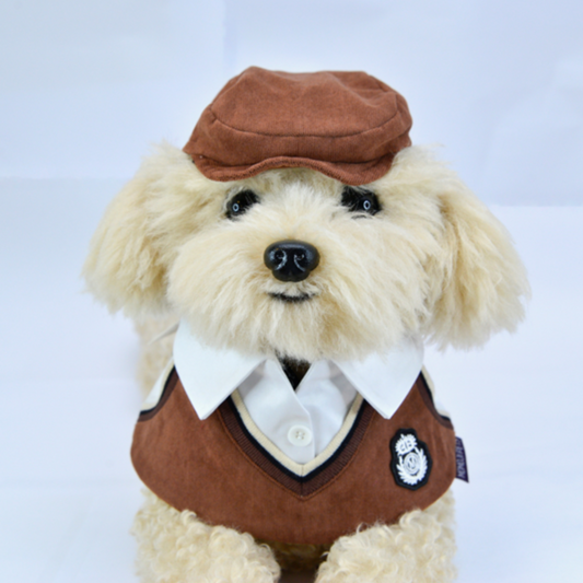 Momoji Leighton Hats - หมวกสุนัข แมว