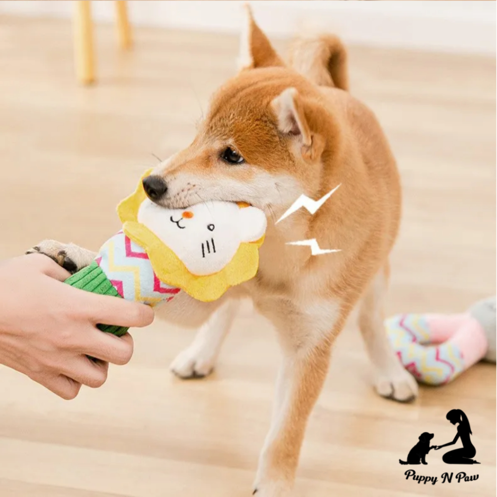 Puppy N Paw Friends 4 Fun 2 Plush Toy ตุ๊กตาสำหรับสัตว์เลี้ยง สุนัข หมา แมว สำหรับกัดมีเสียง