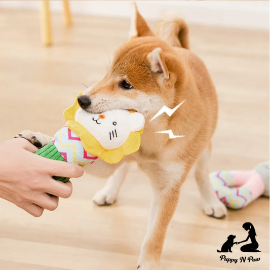 Puppy N Paw Friends 4 Fun 2 Plush Toy ตุ๊กตาสำหรับสัตว์เลี้ยง สุนัข หมา แมว สำหรับกัดมีเสียง
