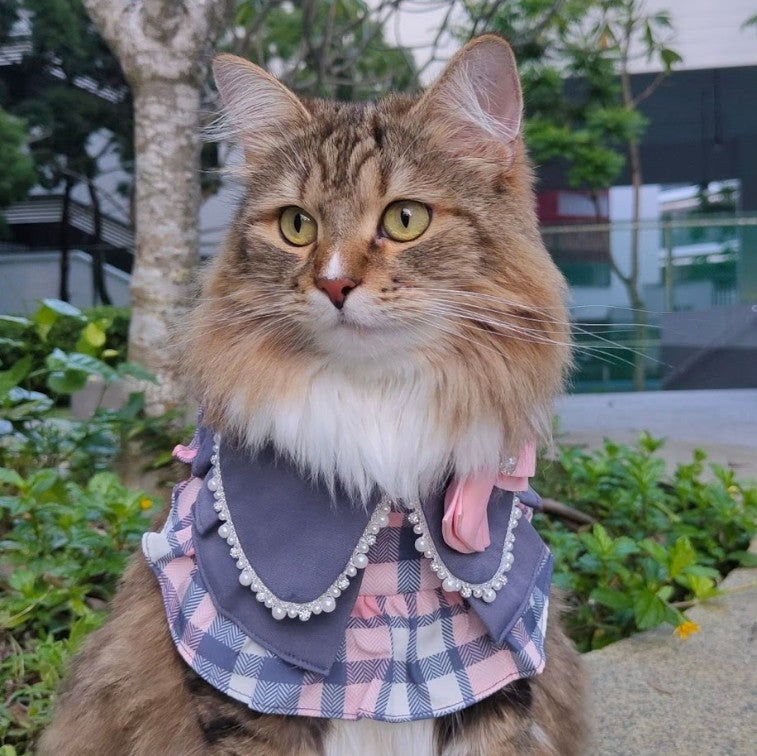 Momoji Madeleine Bib - ชุดหมาแมวออกงาน ชุดผู้หญิง มีกระโปรง สีชมพูขาว สีเทาชมพู สำหรับสัตว์เลี้ยง