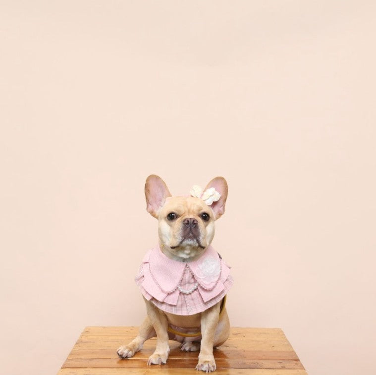 Momoji Matilda Bib - ชุดสุนัข แมว ชุดผู้หญิง สำหรับสัตว์เลี้ยง ชุดคุณหนูมีกระโปรงใส่ออกงาน