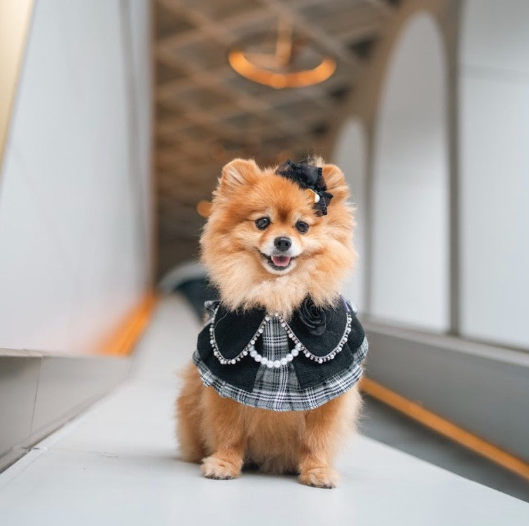 Momoji Matilda Bib - ชุดสุนัข แมว ชุดผู้หญิง สำหรับสัตว์เลี้ยง ชุดคุณหนูมีกระโปรงใส่ออกงาน