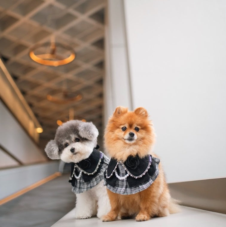 Momoji Matilda Bib - ชุดสุนัข แมว ชุดผู้หญิง สำหรับสัตว์เลี้ยง ชุดคุณหนูมีกระโปรงใส่ออกงาน