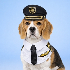 Momoji Air Pilot - หมวกสุนัข หมวกแมว หมวกสัตว์เลี้ยง หมวกนักบิน