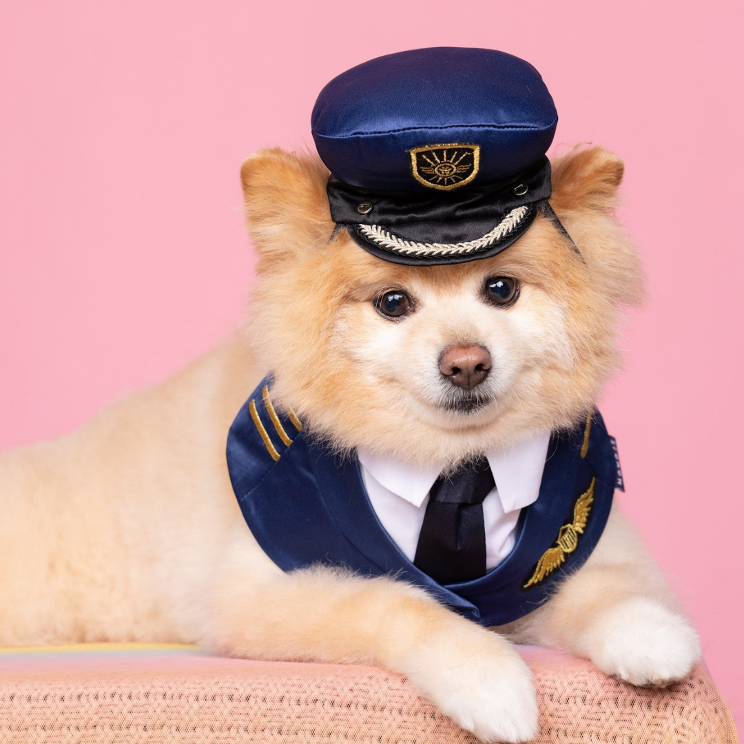 Momoji Air Pilot - หมวกสุนัข หมวกแมว หมวกสัตว์เลี้ยง หมวกนักบิน