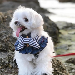 Momoji Pet Bib - Denim & Stripes ชุดสุนัข ชุดแมว ชุดสัตว์เลี้ยง ผ้าพันคอสุนัข ชุดยีนสุนัขแมวชายหญิง