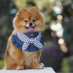 Momoji Pet Bib - Denim & Stripes ชุดสุนัข ชุดแมว ชุดสัตว์เลี้ยง ผ้าพันคอสุนัข ชุดยีนสุนัขแมวชายหญิง