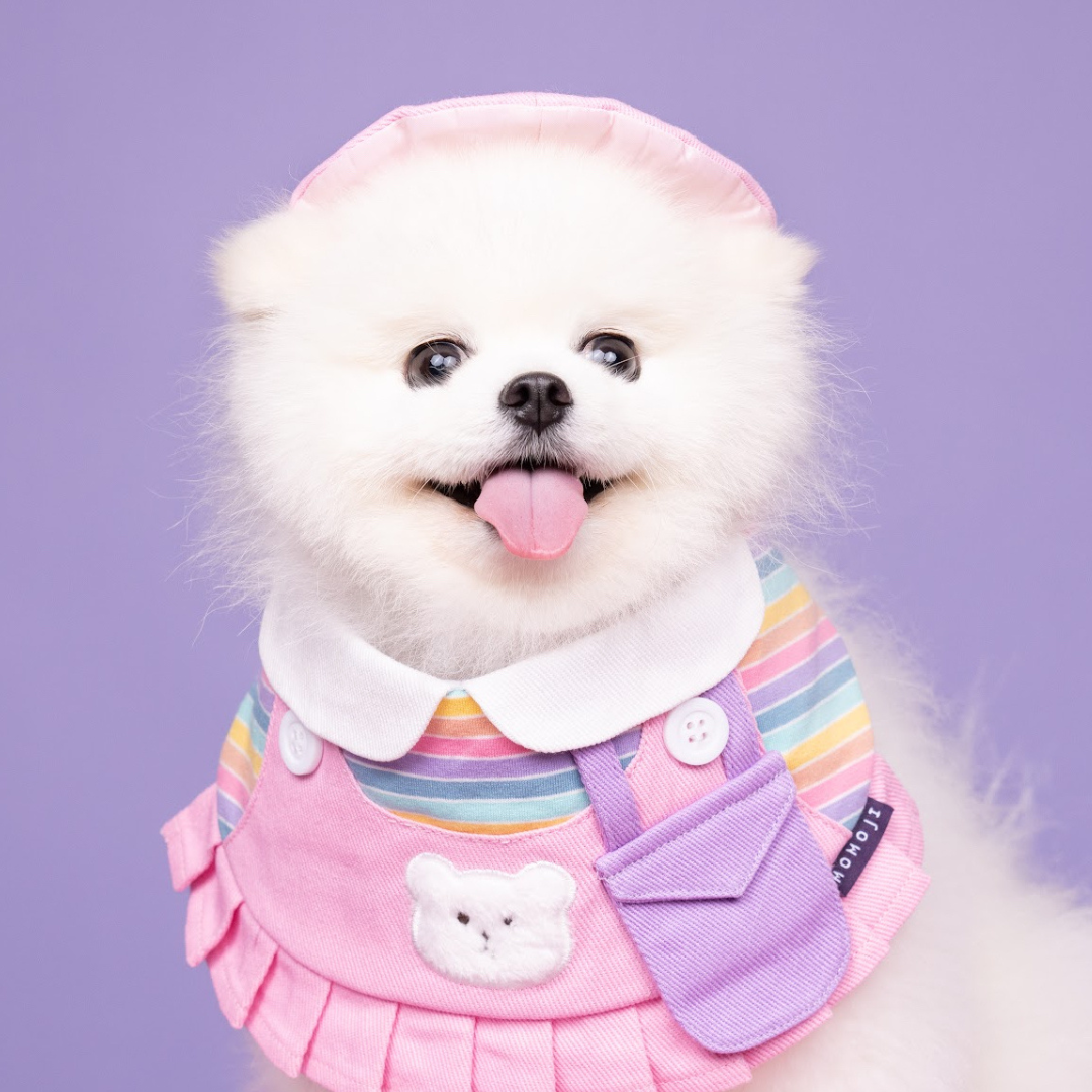 Momoji Bear Bib - ชุดสุนัข ชุดแมว ชุดสัตว์เลี้ยง ผ้าพันคอสุนัข สีพาสเทล