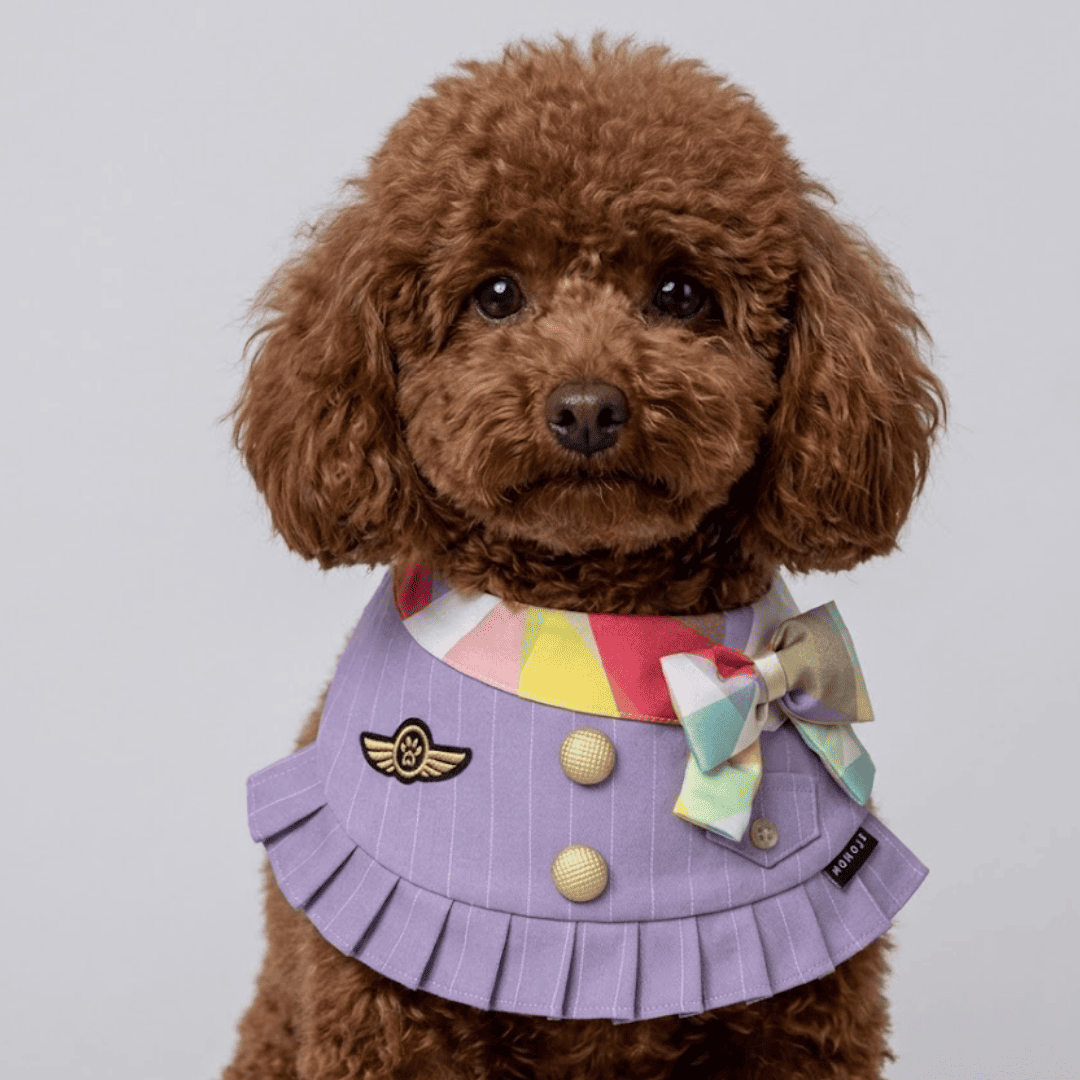 Momoji Air Pilot Bib -  ชุดสุนัข ชุดแมว ชุดสัตว์เลี้ยง ผ้าพันคอสุนัข ชุดนักบิน สีกรม สีขาว