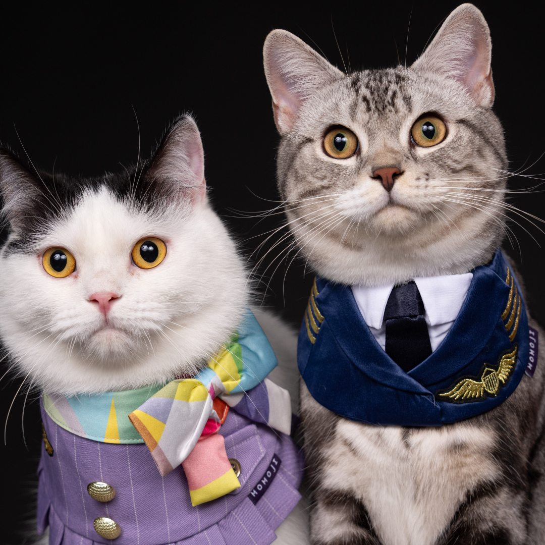 Momoji Air Pilot Bib -  ชุดสุนัข ชุดแมว ชุดสัตว์เลี้ยง ผ้าพันคอสุนัข ชุดนักบิน สีกรม สีขาว