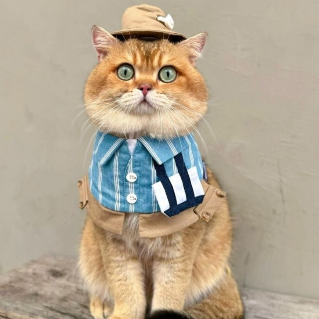 Momoji Anthony Bib - Dusty Blue ผ้าพันคอสำหรับสัตว์เลี้ยง