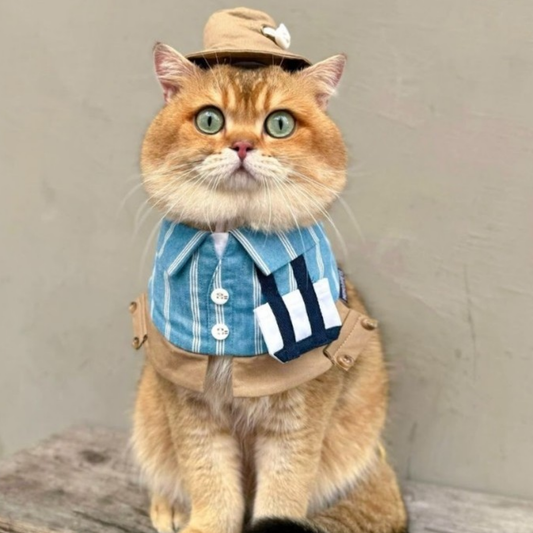 Momoji Anthony Bib - Dusty Blue ผ้าพันคอสำหรับสัตว์เลี้ยง