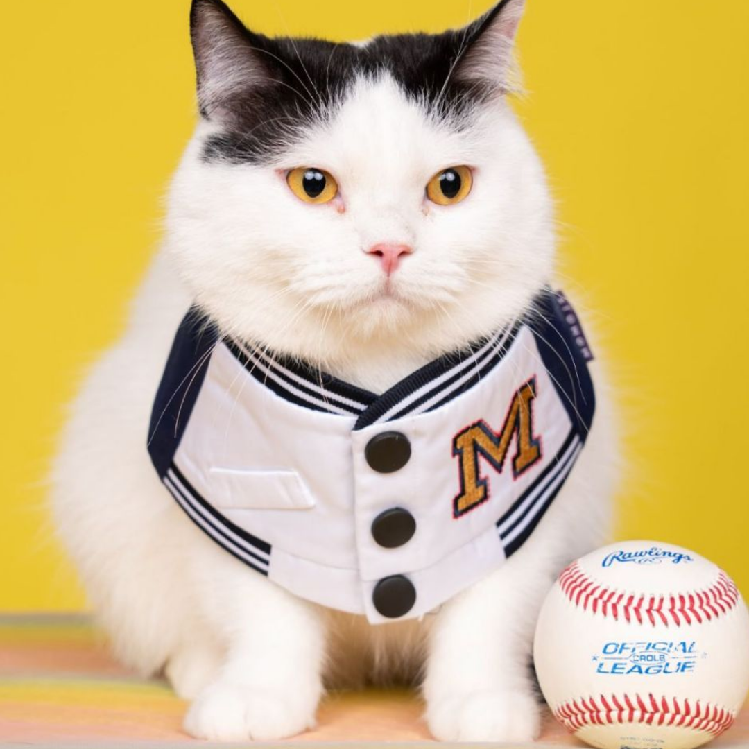 Momoji Basepaws Bib - ผ้าพันคอสำหรับสัตว์เลี้ยง ชุดเบสบอล