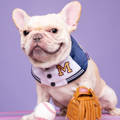 Momoji Basepaws Bib - ผ้าพันคอสำหรับสัตว์เลี้ยง ชุดเบสบอล