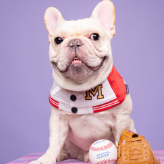 Momoji Basepaws Bib - ผ้าพันคอสำหรับสัตว์เลี้ยง ชุดเบสบอล