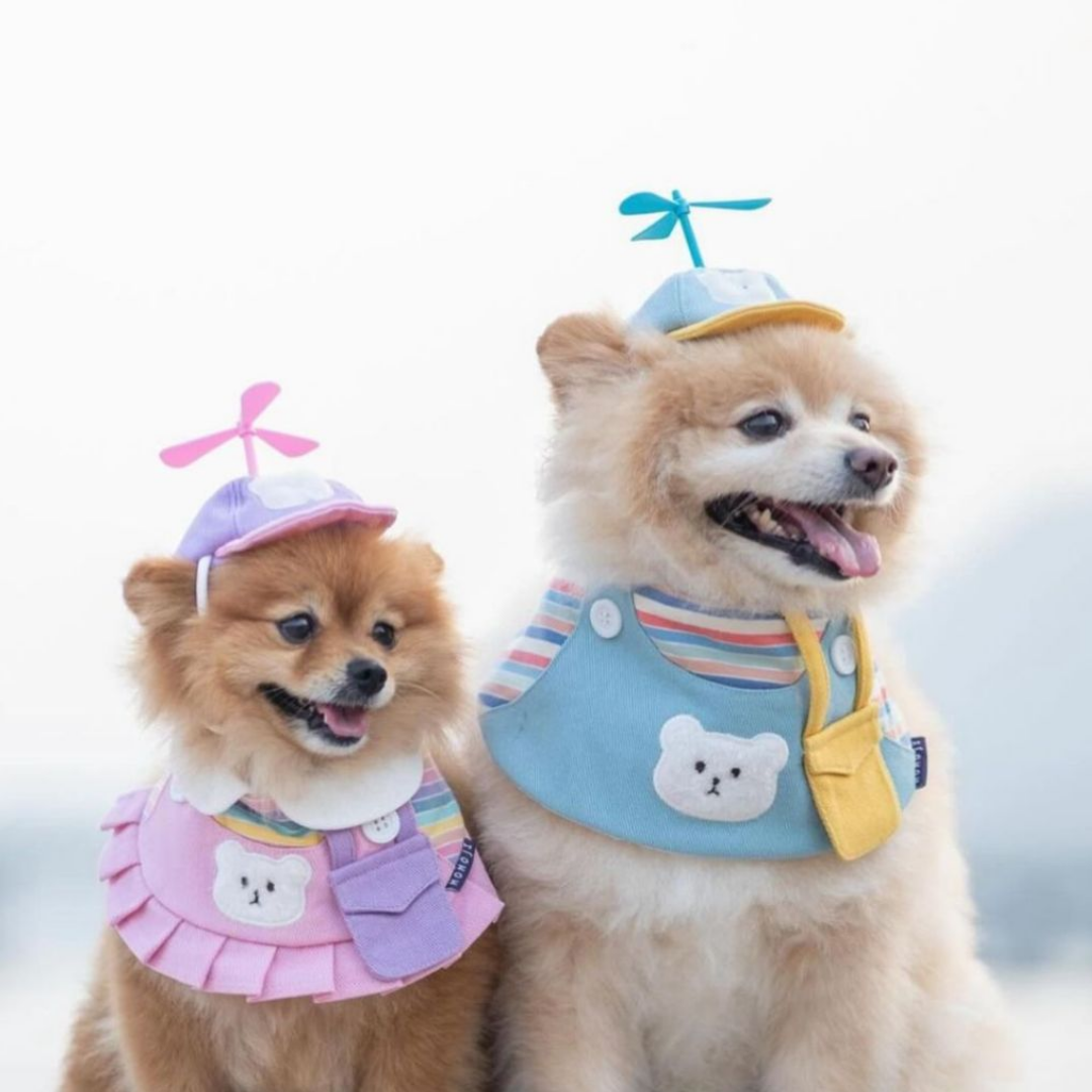 Momoji Bear Bib - ชุดสุนัข ชุดแมว ชุดสัตว์เลี้ยง ผ้าพันคอสุนัข สีพาสเทล