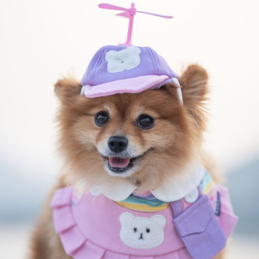 Momoji Bear Bib - ชุดสุนัข ชุดแมว ชุดสัตว์เลี้ยง ผ้าพันคอสุนัข สีพาสเทล