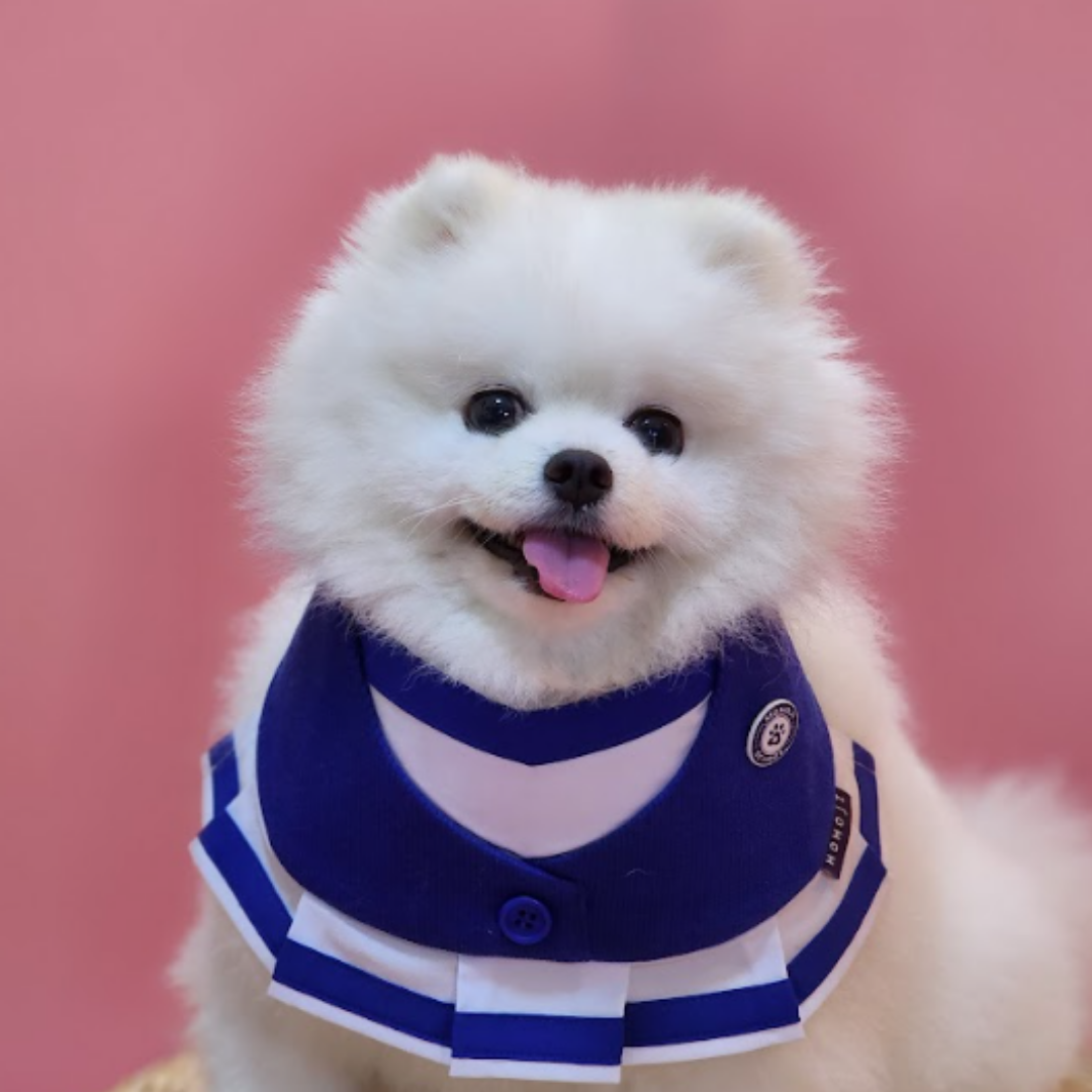 Momoji Leighton Boys Bib - ผ้าพันคอสำหรับสัตว์เลี้ยง ชุดผู้ชายสีฟ้า สีน้ำตาล ชุดกีฬา