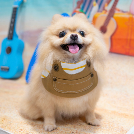 Momoji Johnny Bib - Khaki Yellow ชุดสัตว์เลี้ยง ผ้าพันคอสุนัข