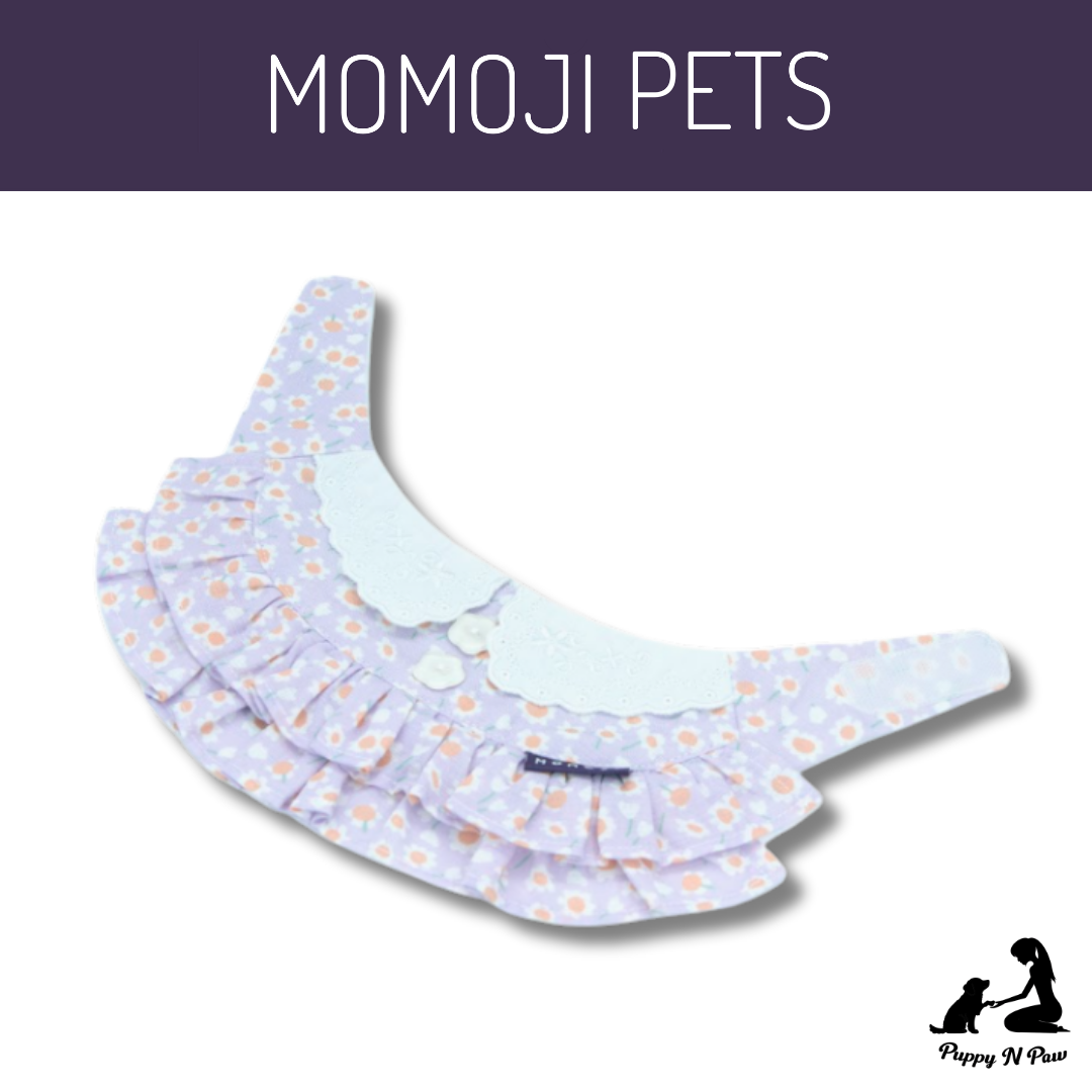 Momoji Kristen Bib - ชุดสำหรับสัตว์เลี้ยง ชุดสุนัขผู้หญิงมีกระโปรง