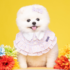 Momoji Kristen Bib - ชุดสำหรับสัตว์เลี้ยง ชุดสุนัขผู้หญิงมีกระโปรง