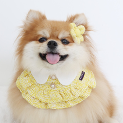 Momoji Kristen Bib - ชุดสำหรับสัตว์เลี้ยง ชุดสุนัขผู้หญิงมีกระโปรง