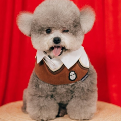 Momoji Leighton Boys Bib - ผ้าพันคอสำหรับสัตว์เลี้ยง ชุดผู้ชายสีฟ้า สีน้ำตาล ชุดกีฬา