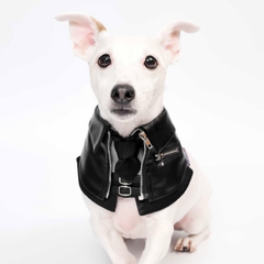 Momoji Shin Bib - Charcoal Black ชุดน้องหมาน้องแมว เสื้อผ้าสุนัข ผ้าผันคอหนัง สีดำ Jacket for Pets