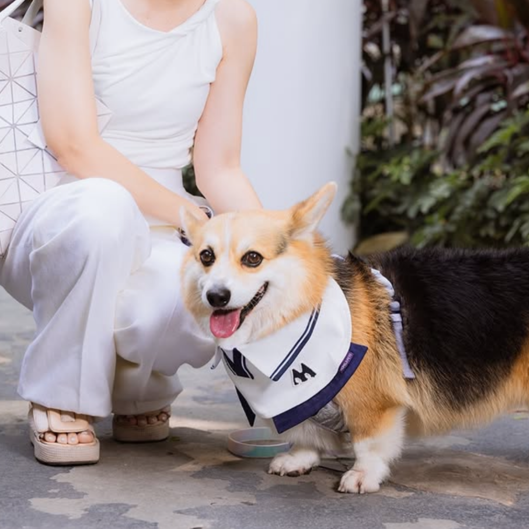 Momoji Tennis Pet Bib - ผ้าพันคอสำหรับสัตว์เลี้ยง ชุดเทนนิสชาย เทนนิสหญิง
