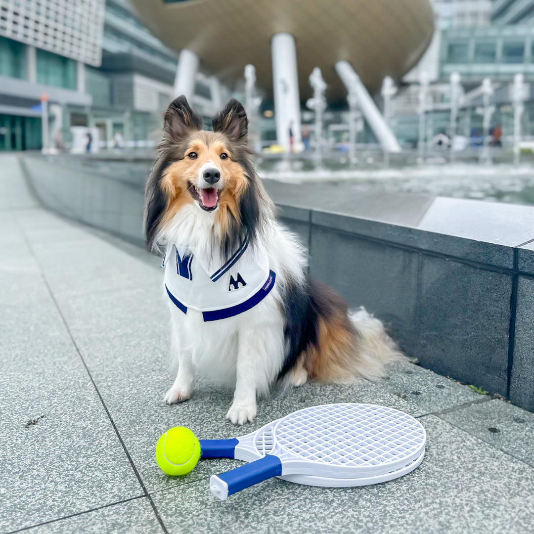 Momoji Tennis Pet Bib - ผ้าพันคอสำหรับสัตว์เลี้ยง ชุดเทนนิสชาย เทนนิสหญิง