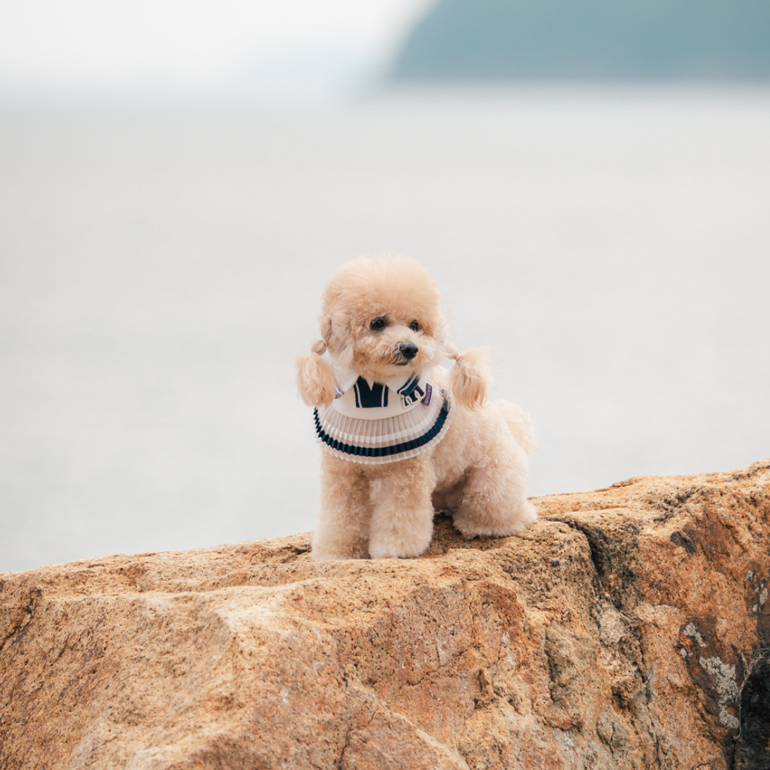 Momoji Tennis Pet Bib - ผ้าพันคอสำหรับสัตว์เลี้ยง ชุดเทนนิสชาย เทนนิสหญิง