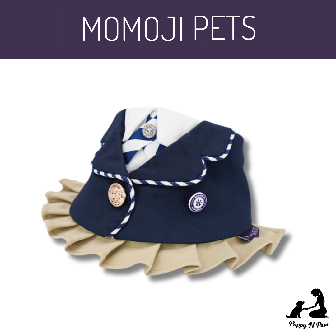 Momoji The Hairs boy - ผ้าผันคอสำหรับสัตว์เลี้ยง ชุดนักเรียน