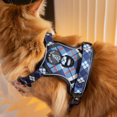 Boss & Olly - Nautical Plaids Active Harness