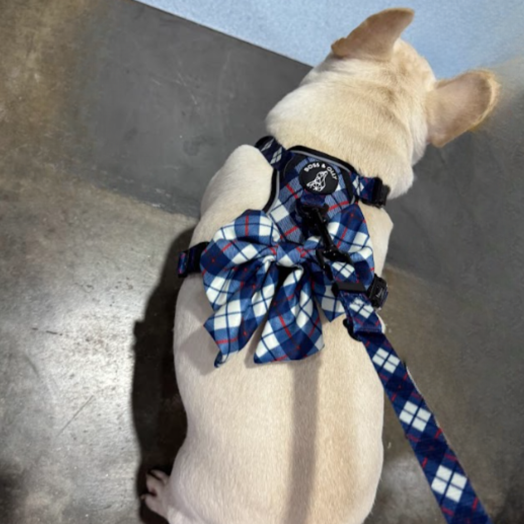 Boss & Olly - Nautical Plaids Active Harness