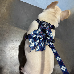 Boss & Olly - Nautical Plaids Active Harness